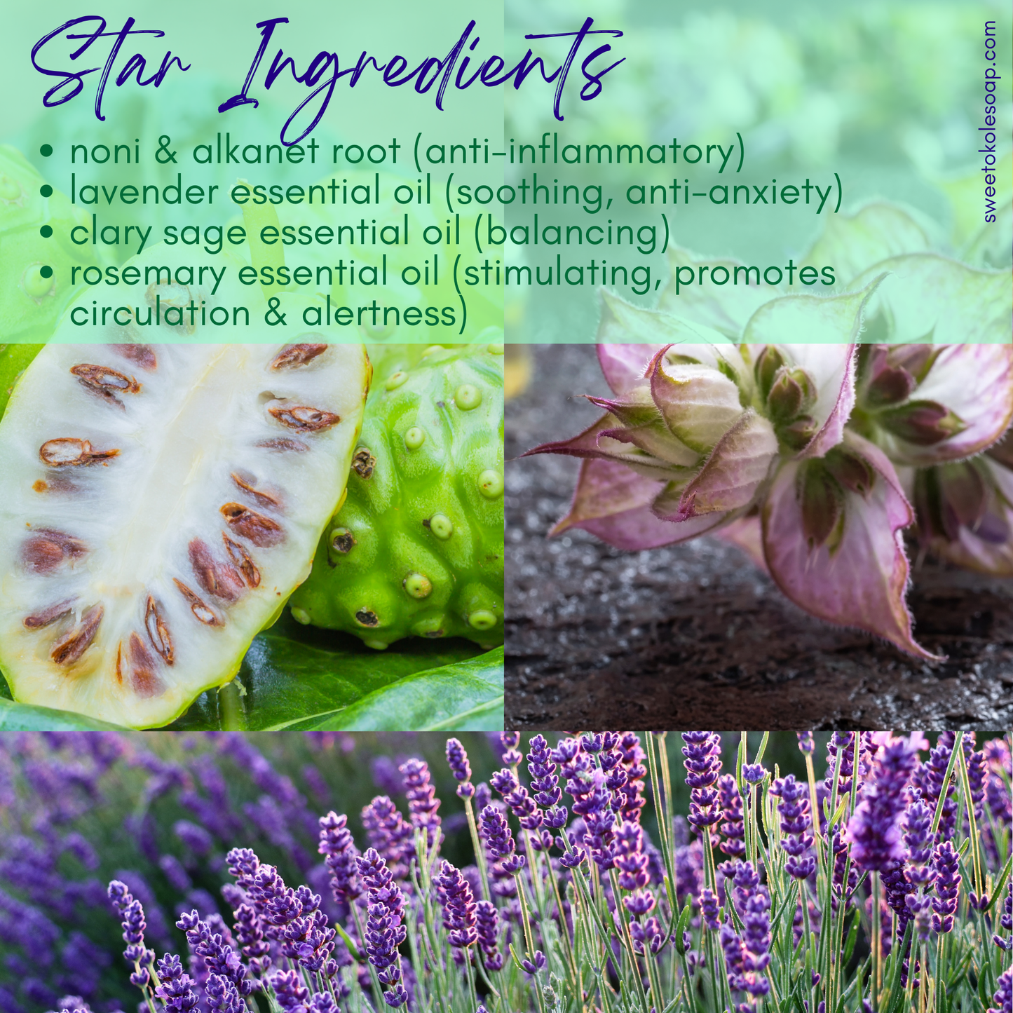 Lavender & Clary Sage Soap with Noni & Essential Oils - Renee Lane Company
