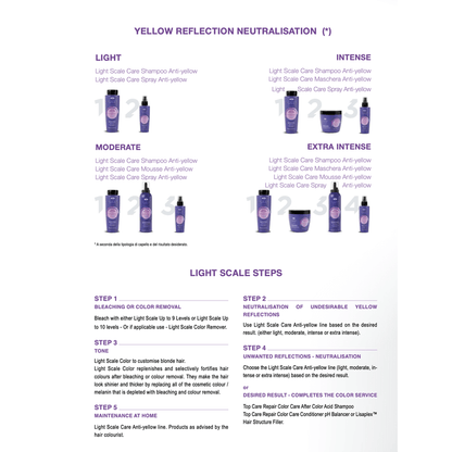 Light Scale Care Anti-Yellow Mask - Renee Lane Company