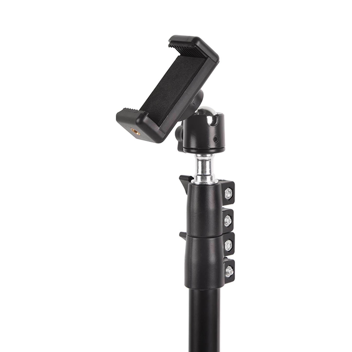 Lightweight Phone Tripod Stand Extendable 78in Aluminum Stand Wireless Remote - Renee Lane Company