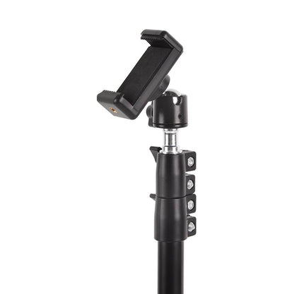 Lightweight Phone Tripod Stand Extendable 78in Aluminum Stand Wireless Remote - Renee Lane Company