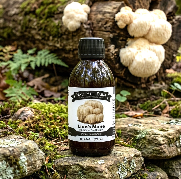 Lion's Mane Mushroom Dual Extract - Renee Lane Company
