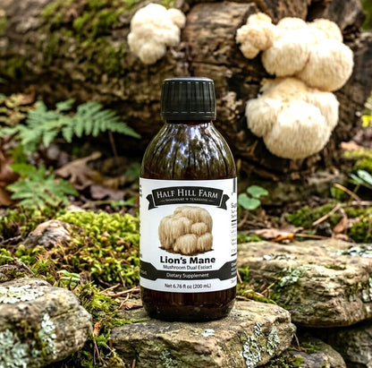 Lion's Mane Mushroom Dual Extract - Renee Lane Company