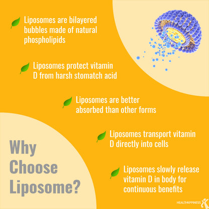 Liposomal Vitamin D3 5000 IU Softgels - Renee Lane Company