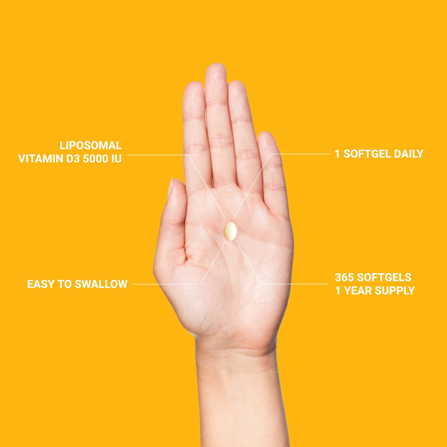 Liposomal Vitamin D3 5000 IU Softgels - Renee Lane Company