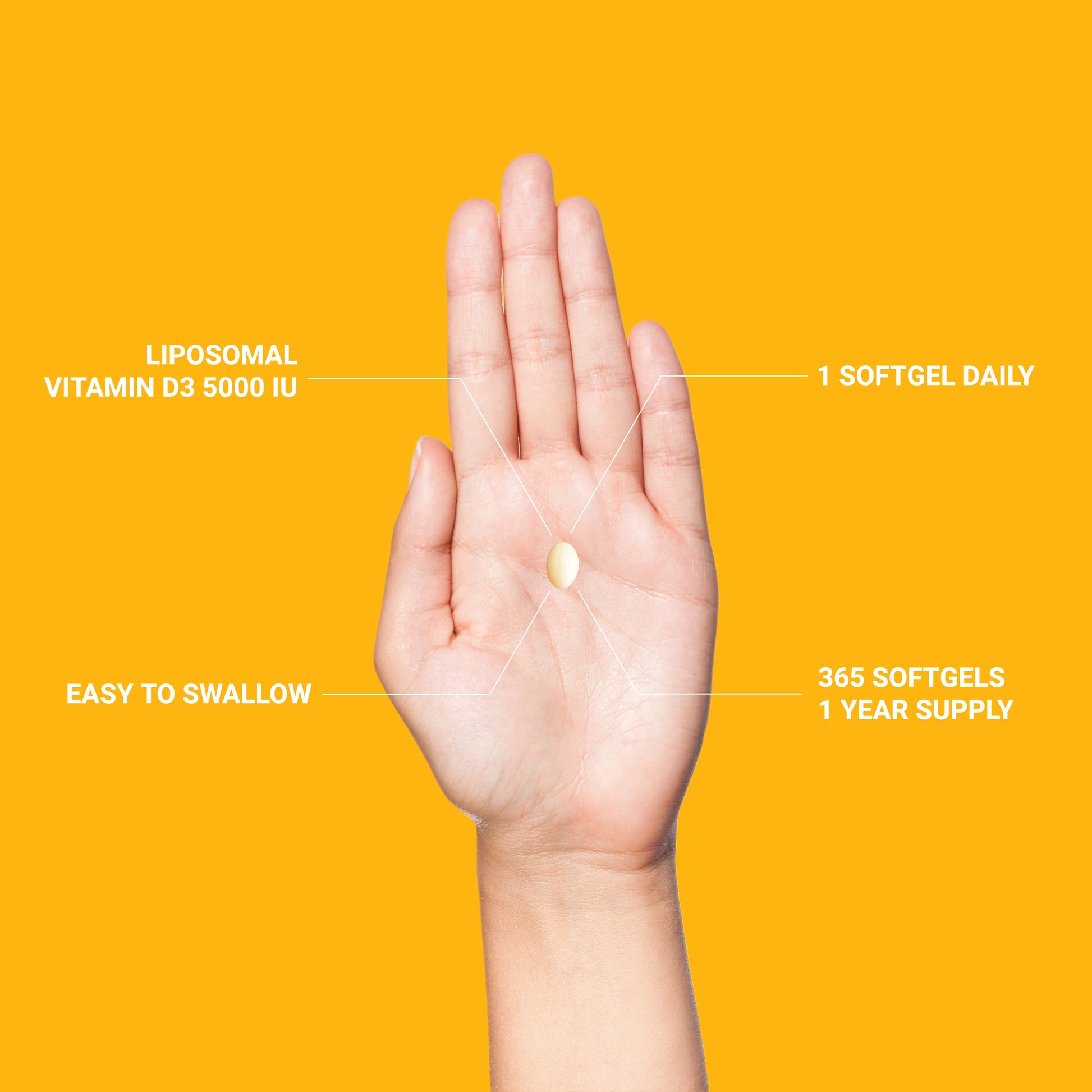 Liposomal Vitamin D3 5000 IU Softgels - Renee Lane Company