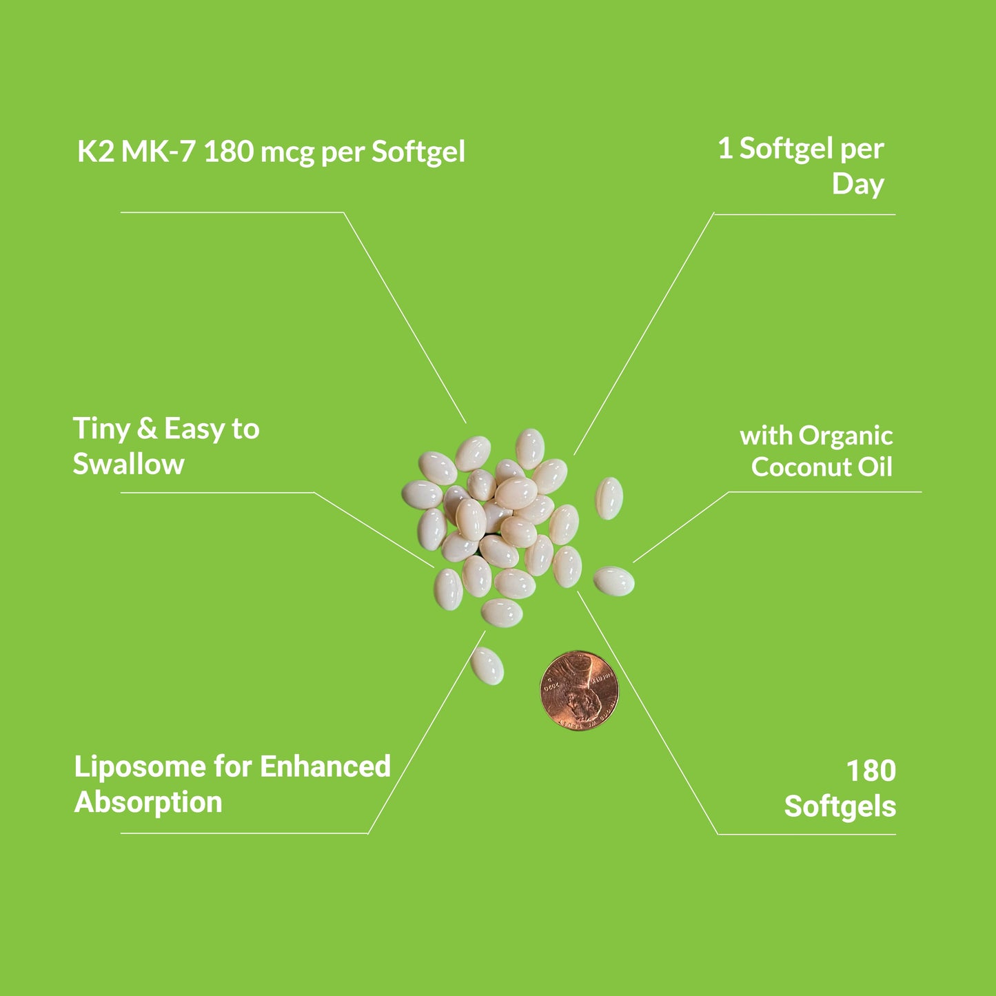 Liposomal Vitamin K2 MK-7 180mcg - Renee Lane Company