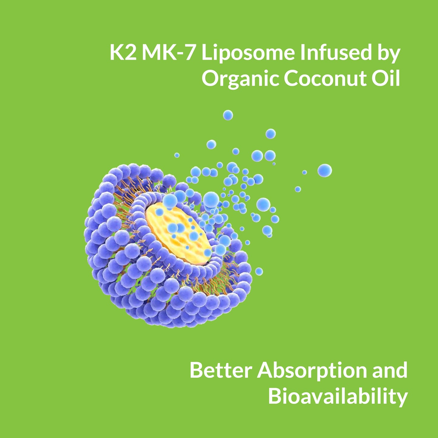 Liposomal Vitamin K2 MK-7 180mcg - Renee Lane Company