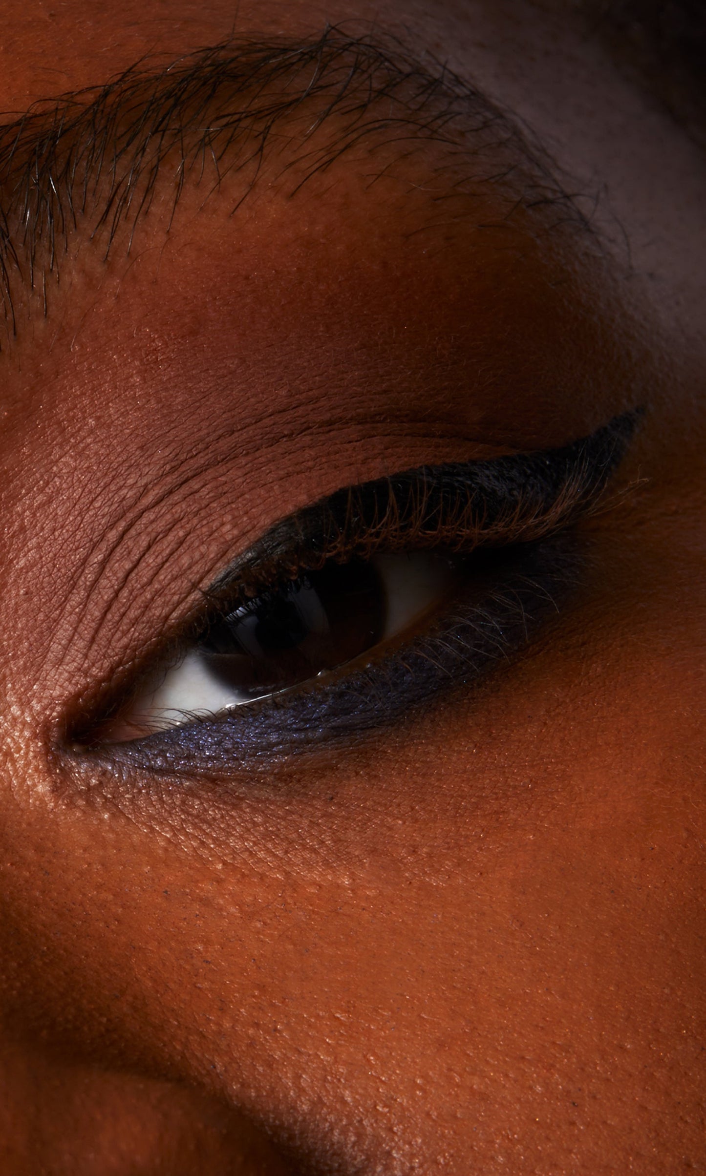 Liquid Eyeliner - Renee Lane Company