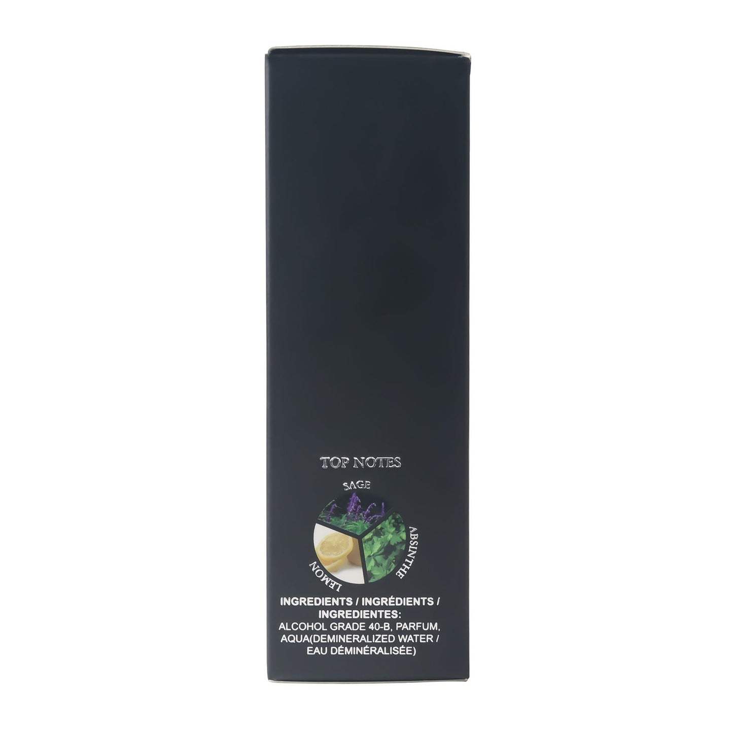 [Long-Lasting Eau De Toilette] Long-Lasting 3.4fl.oz Men's Eau De Toilette Spray - Sage,Absinthe,Lemon Flavor Perfume -Perfect for Dating,Daily Life,Parties,Gift Giving,Valentine's Day And Other - Renee Lane Company