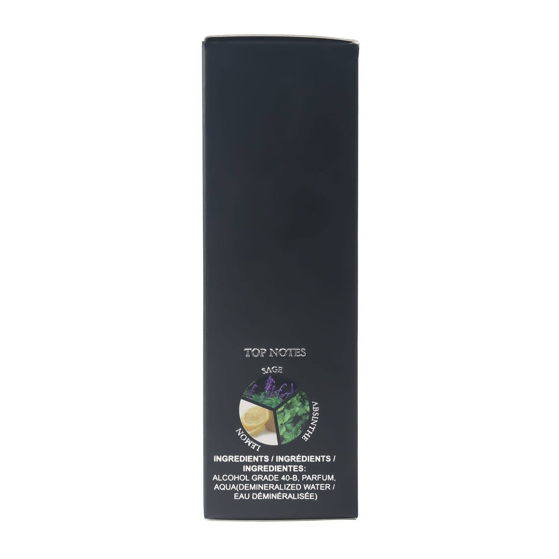 [Long-Lasting Eau De Toilette] Long-Lasting 3.4fl.oz Men's Eau De Toilette Spray - Sage,Absinthe,Lemon Flavor Perfume -Perfect for Dating,Daily Life,Parties,Gift Giving,Valentine's Day And Other - Renee Lane Company