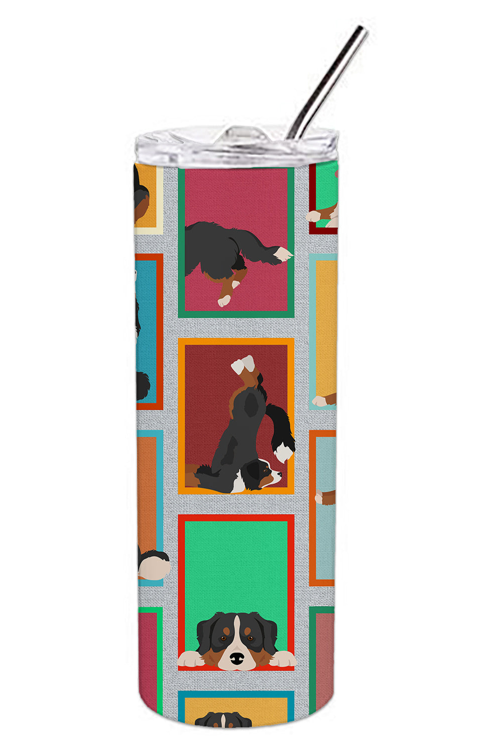 Lots of Bernese Mountain Dog Stainless Steel Skinny Tumbler Vacuum Double Walled Reusable Insulated Tumbler Travel Cup for Coffee Cocktails Gift with Lid, 20 oz - Renee Lane Company