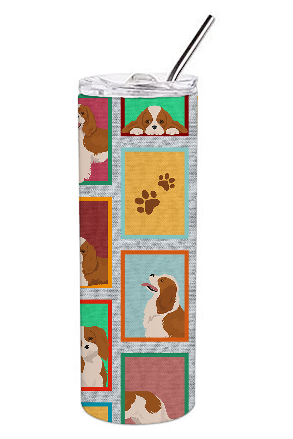 Lots of Blenheim Cavalier Spaniel Stainless Steel Skinny Tumbler Vacuum Double Walled Reusable Insulated Tumbler Travel Cup for Coffee Cocktails Gift with Lid, 20 oz - Renee Lane Company