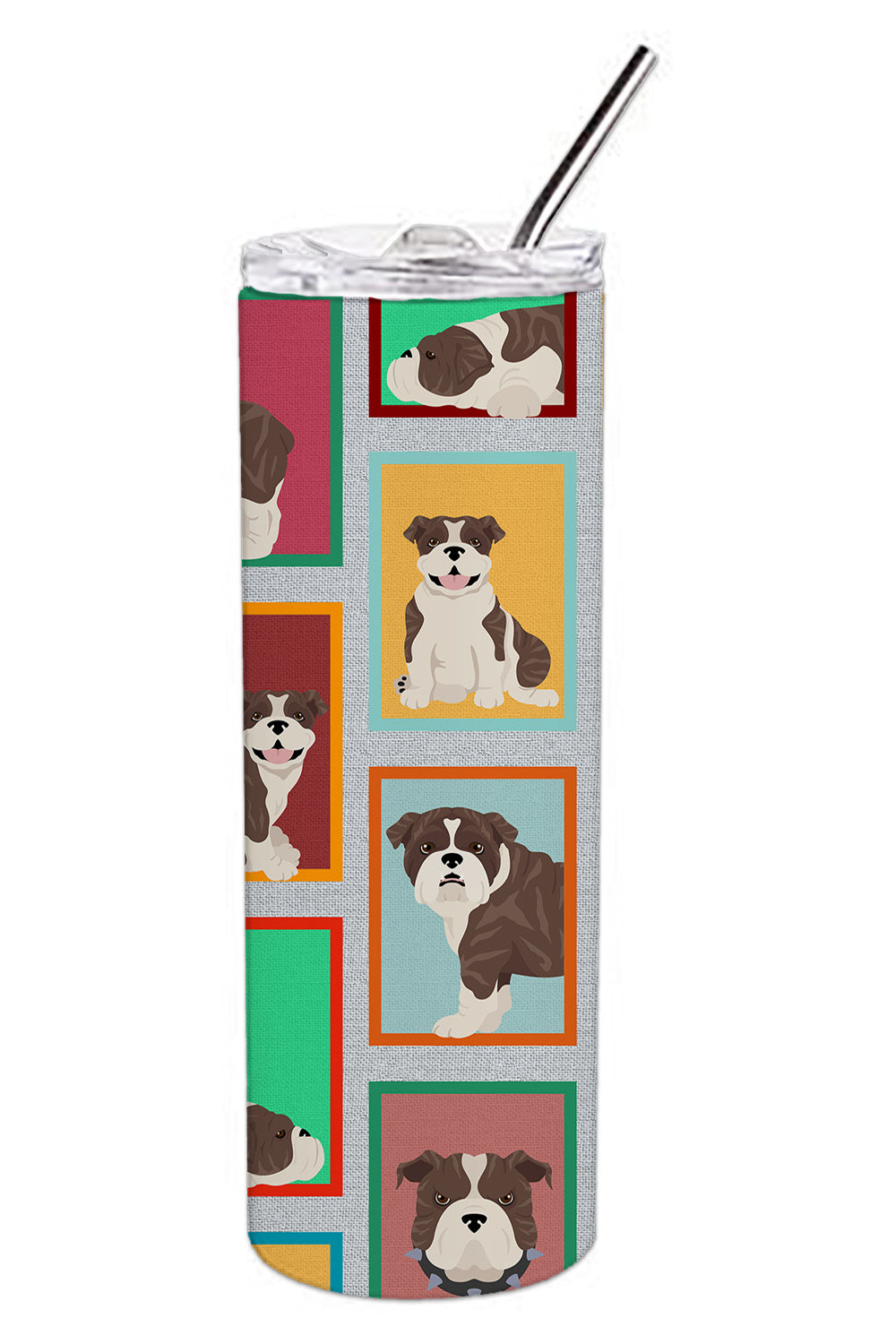 Lots of Brindle English Bulldog Stainless Steel Skinny Tumbler Vacuum Double Walled Reusable Insulated Tumbler Travel Cup for Coffee Cocktails Gift with Lid, 20 oz - Renee Lane Company