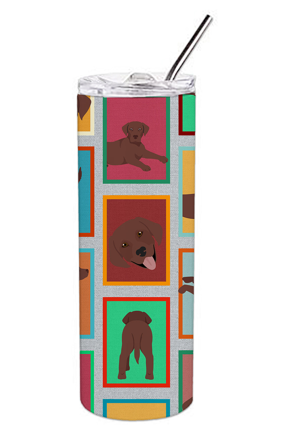 Lots of Chocolate Labrador Retriever Stainless Steel Skinny Tumbler Vacuum Double Walled Reusable Insulated Tumbler Travel Cup for Coffee Cocktails Gift with Lid, 20 oz - Renee Lane Company