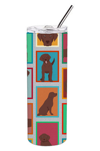 Lots of Chocolate Labrador Retriever Stainless Steel Skinny Tumbler Vacuum Double Walled Reusable Insulated Tumbler Travel Cup for Coffee Cocktails Gift with Lid, 20 oz - Renee Lane Company