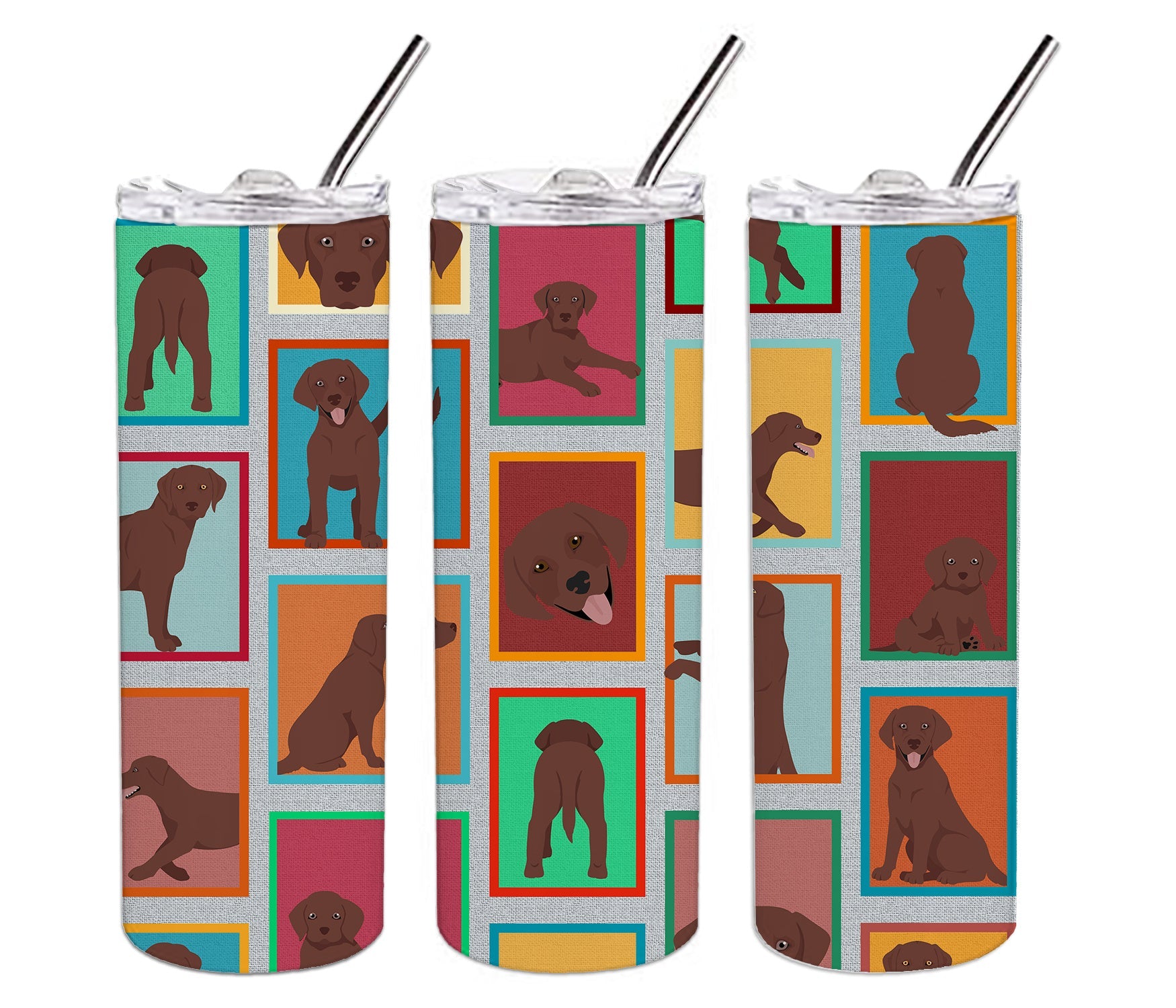Lots of Chocolate Labrador Retriever Stainless Steel Skinny Tumbler Vacuum Double Walled Reusable Insulated Tumbler Travel Cup for Coffee Cocktails Gift with Lid, 20 oz - Renee Lane Company