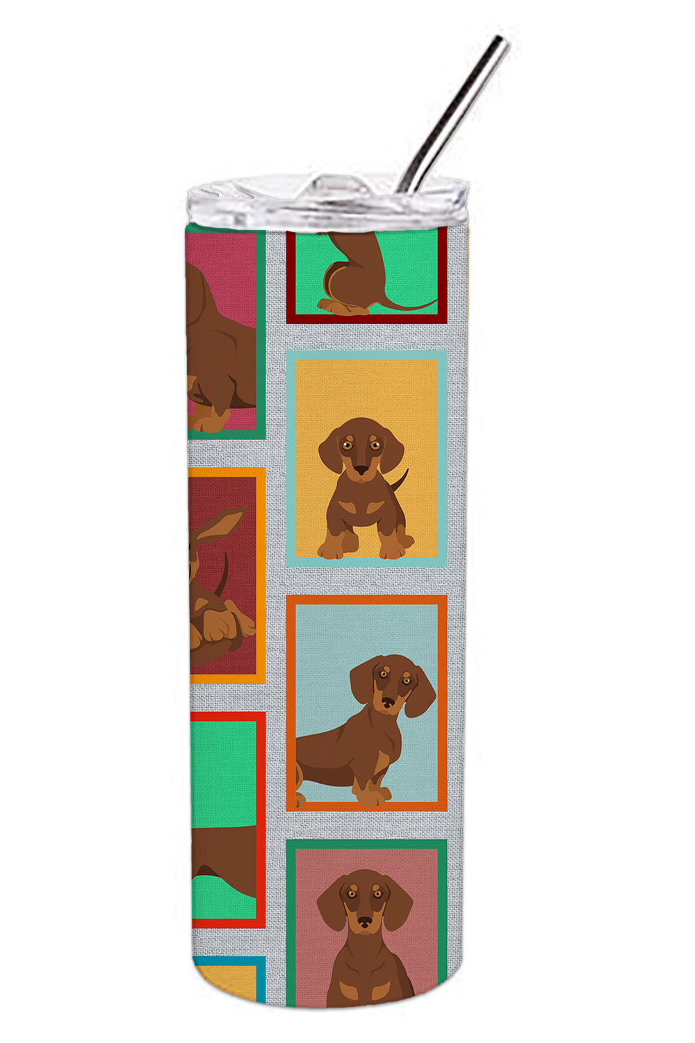 Lots of Chocolate and Tan Dachshund Stainless Steel Skinny Tumbler Vacuum Double Walled Reusable Insulated Tumbler Travel Cup for Coffee Cocktails Gift with Lid, 20 oz - Renee Lane Company