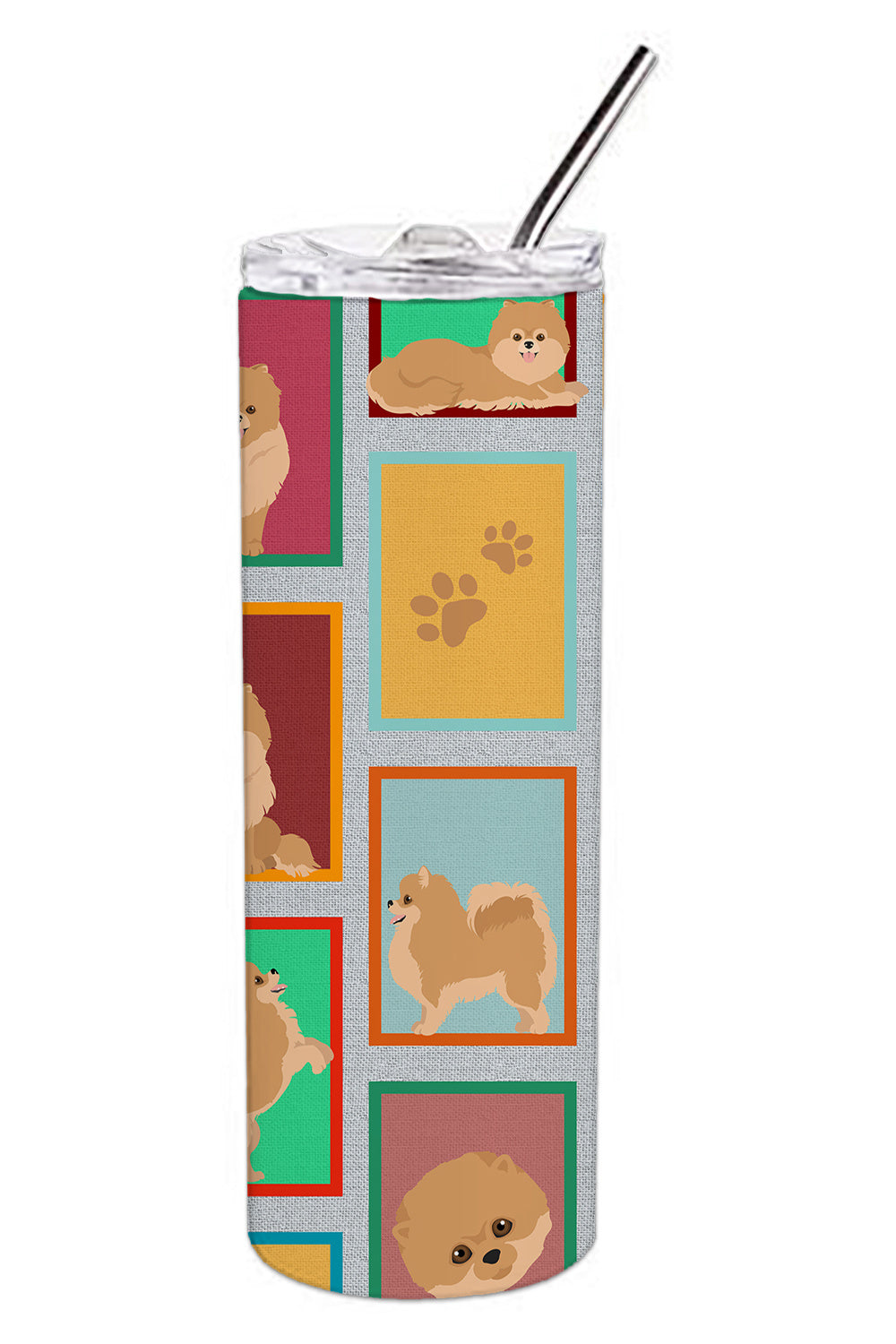 Lots of Orange Pomeranian Stainless Steel Skinny Tumbler Vacuum Double Walled Reusable Insulated Tumbler Travel Cup for Coffee Cocktails Gift with Lid, 20 oz - Renee Lane Company