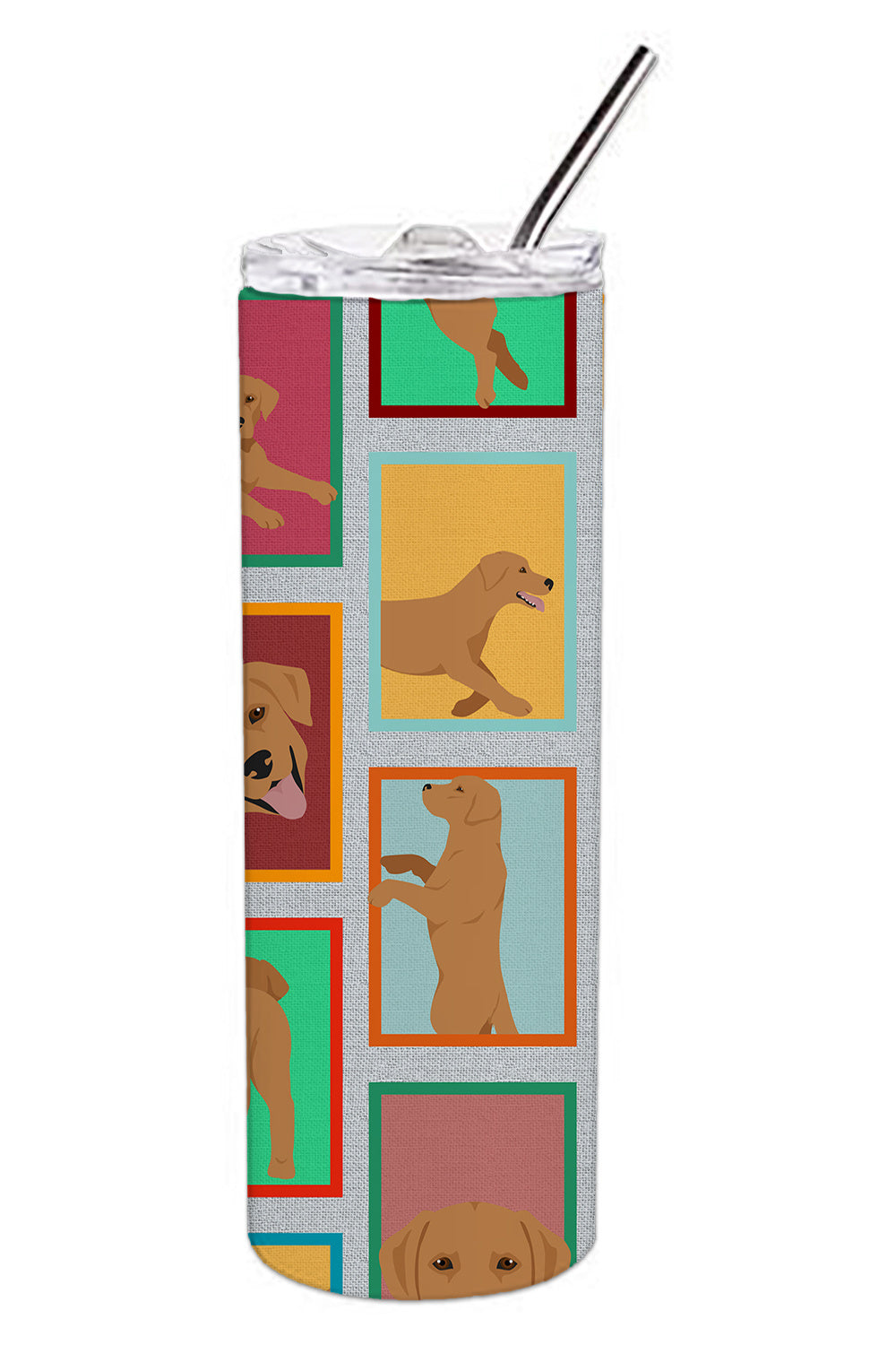 Lots of Red Fox Labrador Retriever Stainless Steel Skinny Tumbler Vacuum Double Walled Reusable Insulated Tumbler Travel Cup for Coffee Cocktails Gift with Lid, 20 oz - Renee Lane Company