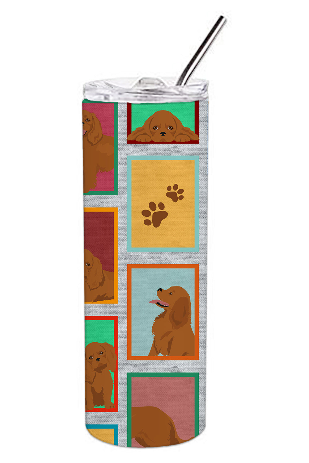 Lots of Ruby Cavalier Spaniel Stainless Steel Skinny Tumbler Vacuum Double Walled Reusable Insulated Tumbler Travel Cup for Coffee Cocktails Gift with Lid, 20 oz - Renee Lane Company