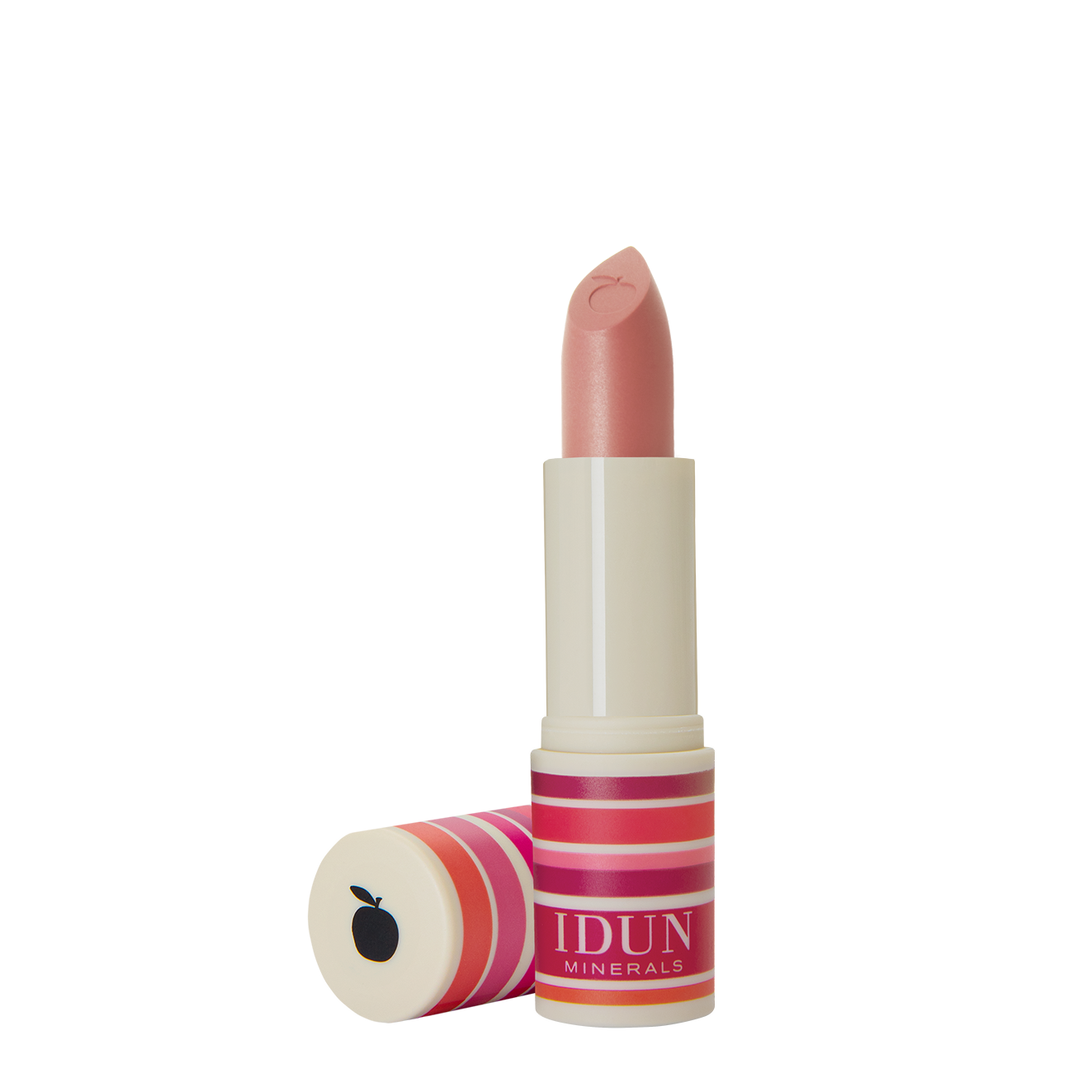 MATTE LIPSTICK - Renee Lane Company