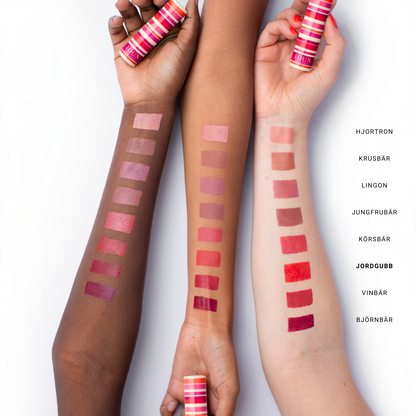 MATTE LIPSTICK - Renee Lane Company