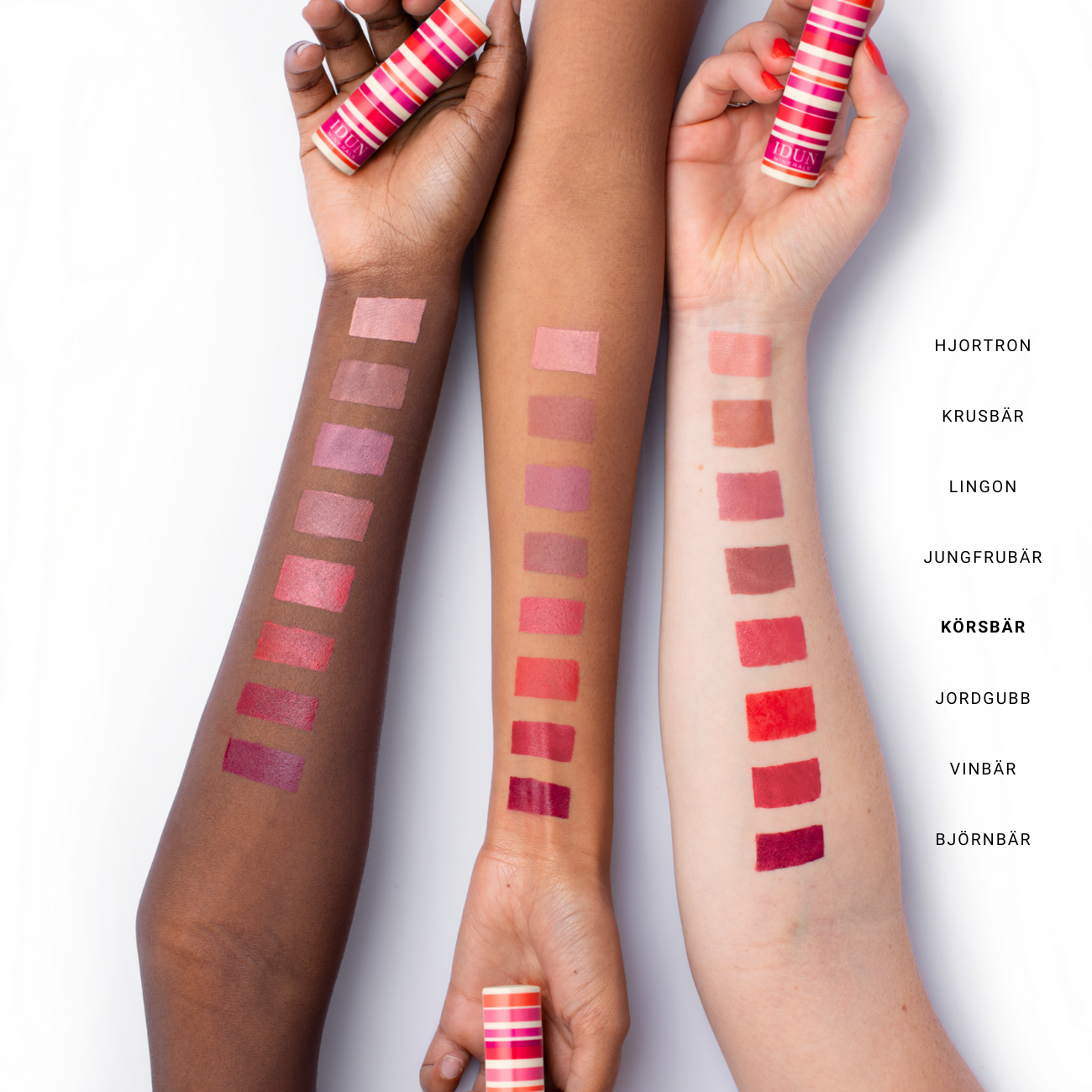 MATTE LIPSTICK - Renee Lane Company