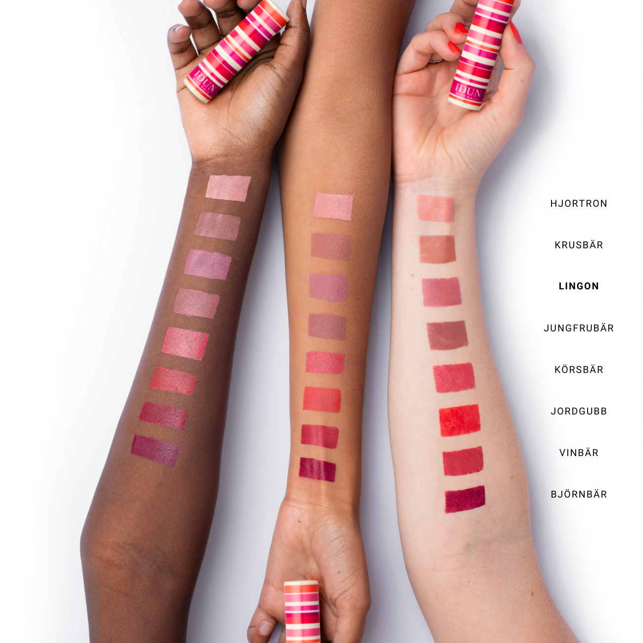 MATTE LIPSTICK - Renee Lane Company