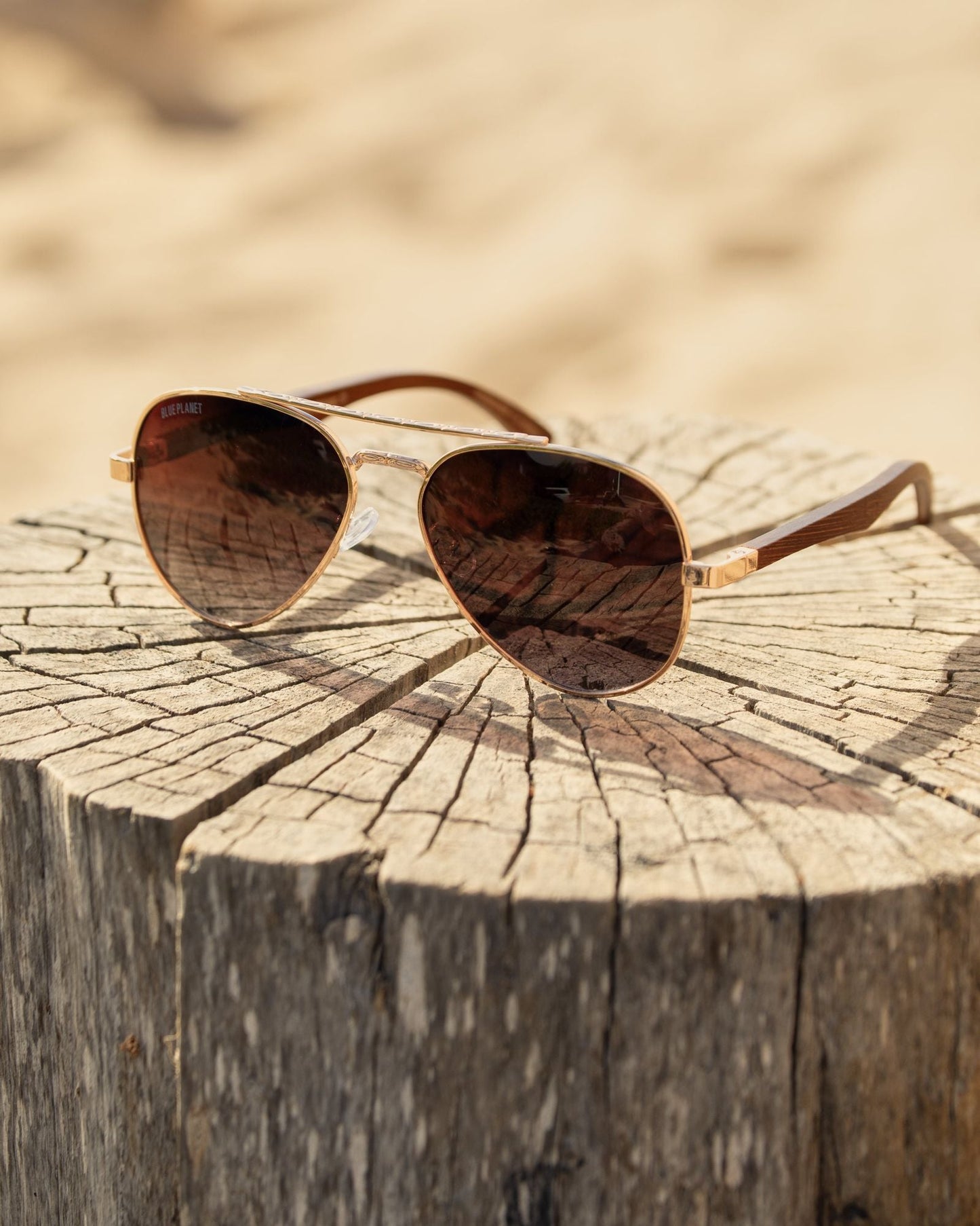 MAV POLARIZED SUNGLASSES - Renee Lane Company