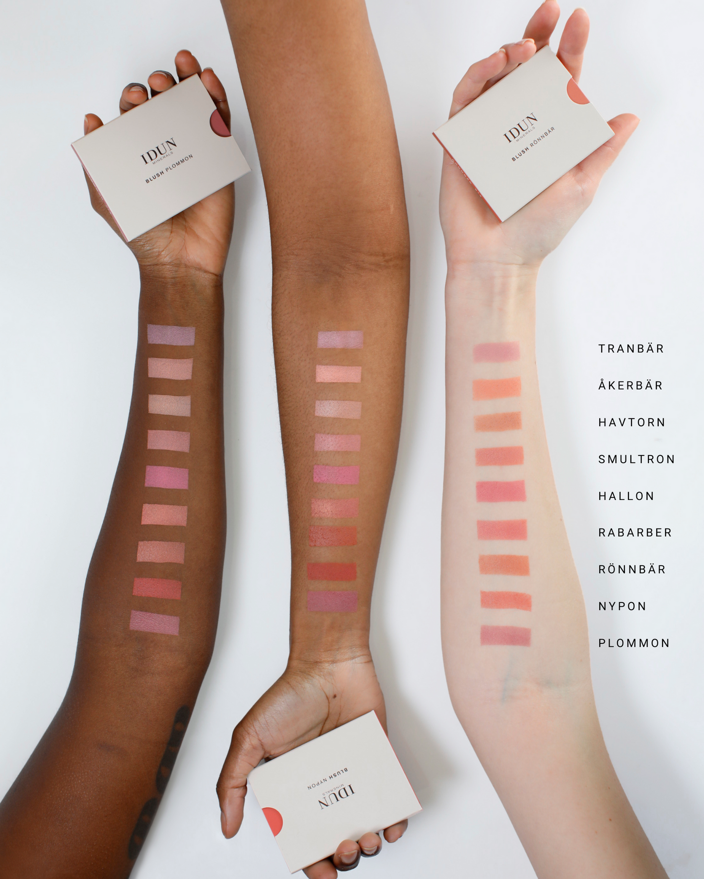 MINERAL BLUSH - Renee Lane Company