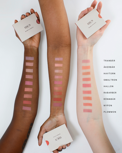MINERAL BLUSH - Renee Lane Company
