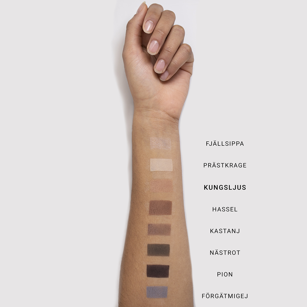 MINERAL SINGLE EYESHADOW - Renee Lane Company