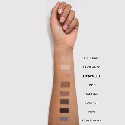 MINERAL SINGLE EYESHADOW - Renee Lane Company