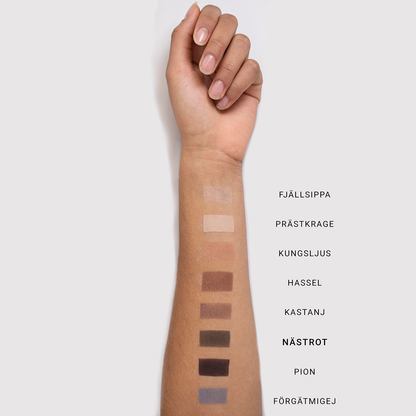 MINERAL SINGLE EYESHADOW - Renee Lane Company
