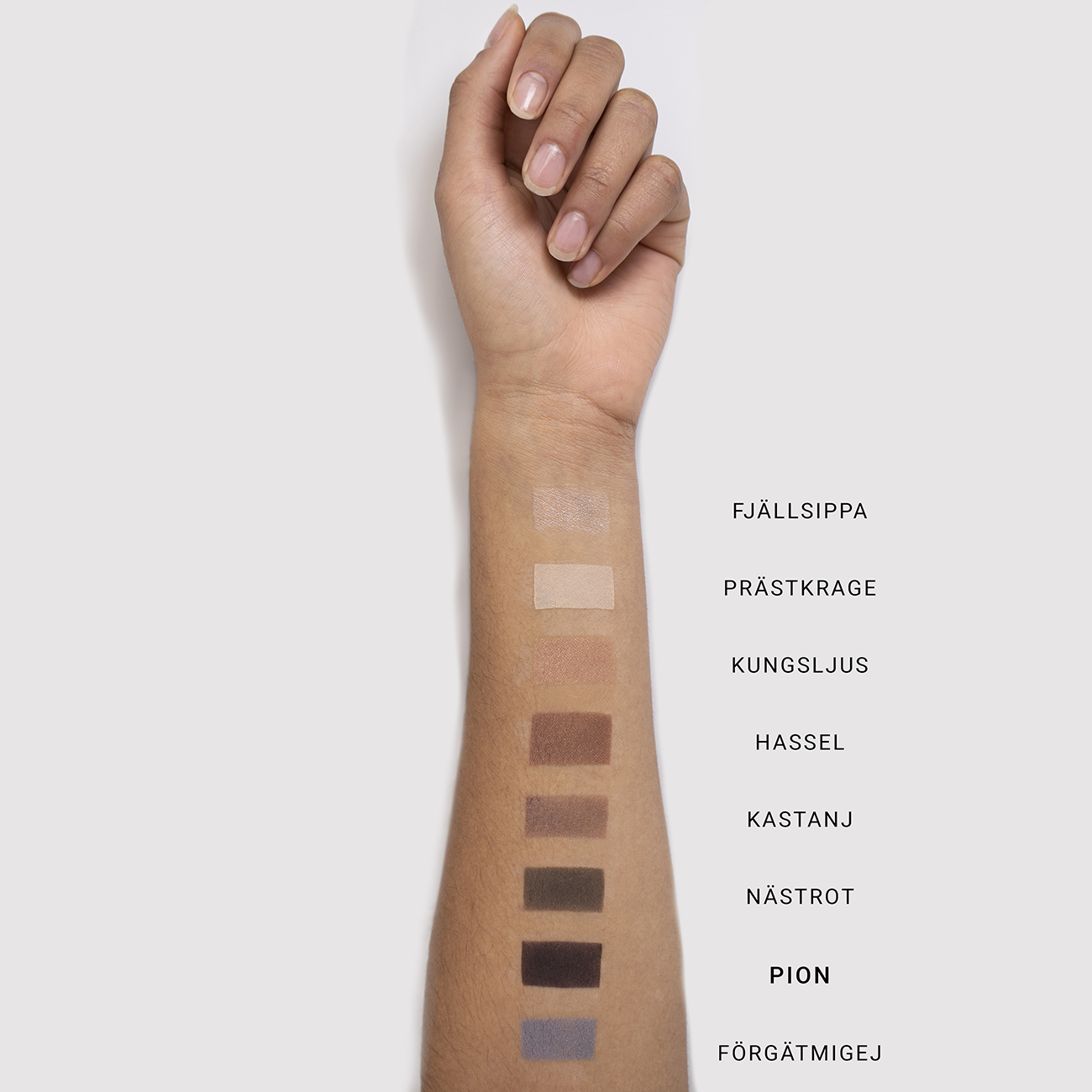 MINERAL SINGLE EYESHADOW - Renee Lane Company