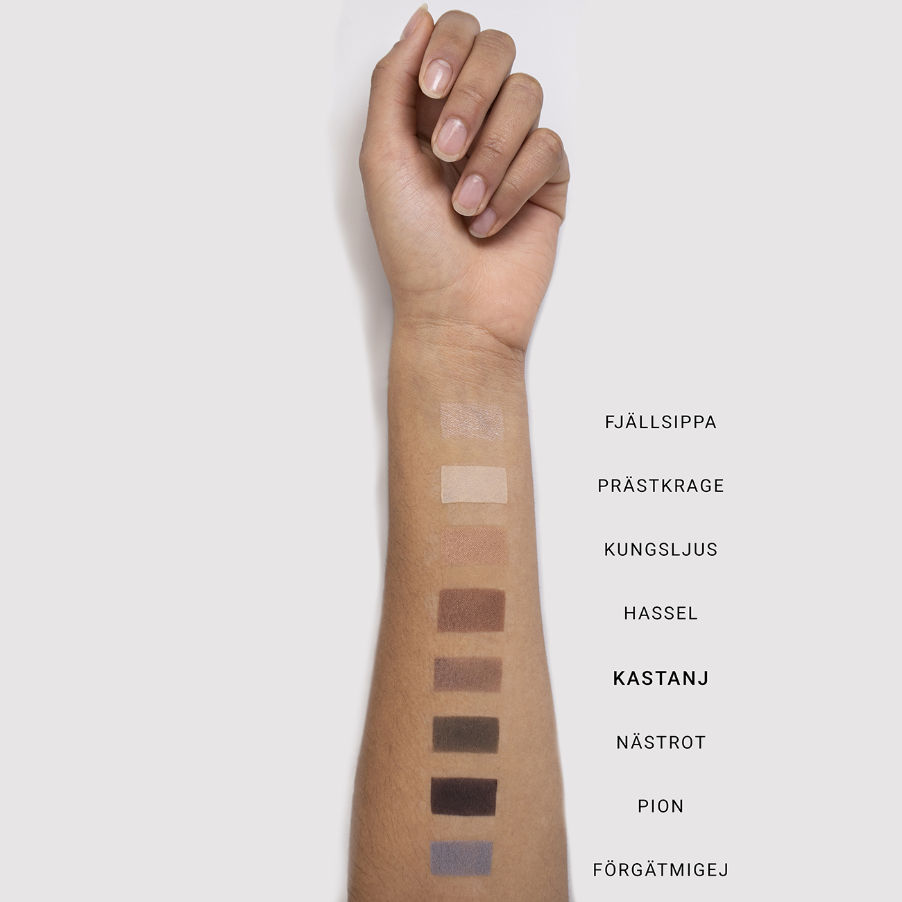 MINERAL SINGLE EYESHADOW - Renee Lane Company