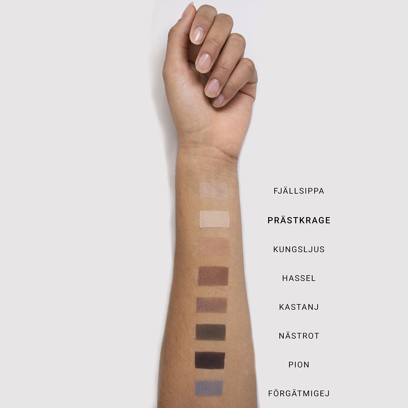 MINERAL SINGLE EYESHADOW - Renee Lane Company