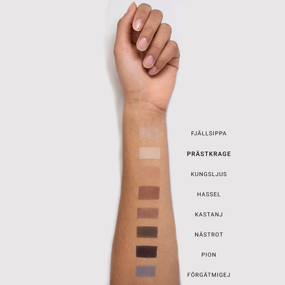 MINERAL SINGLE EYESHADOW - Renee Lane Company