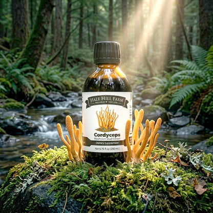 Cordyceps Mushroom Dual Extract