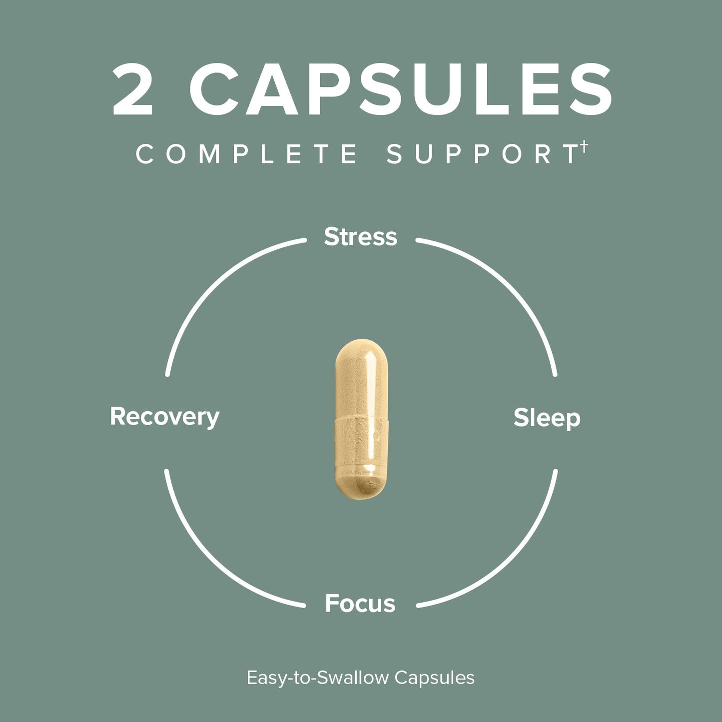 Supplement icon showing one beige capsule with stress, focus, recovery, sleep