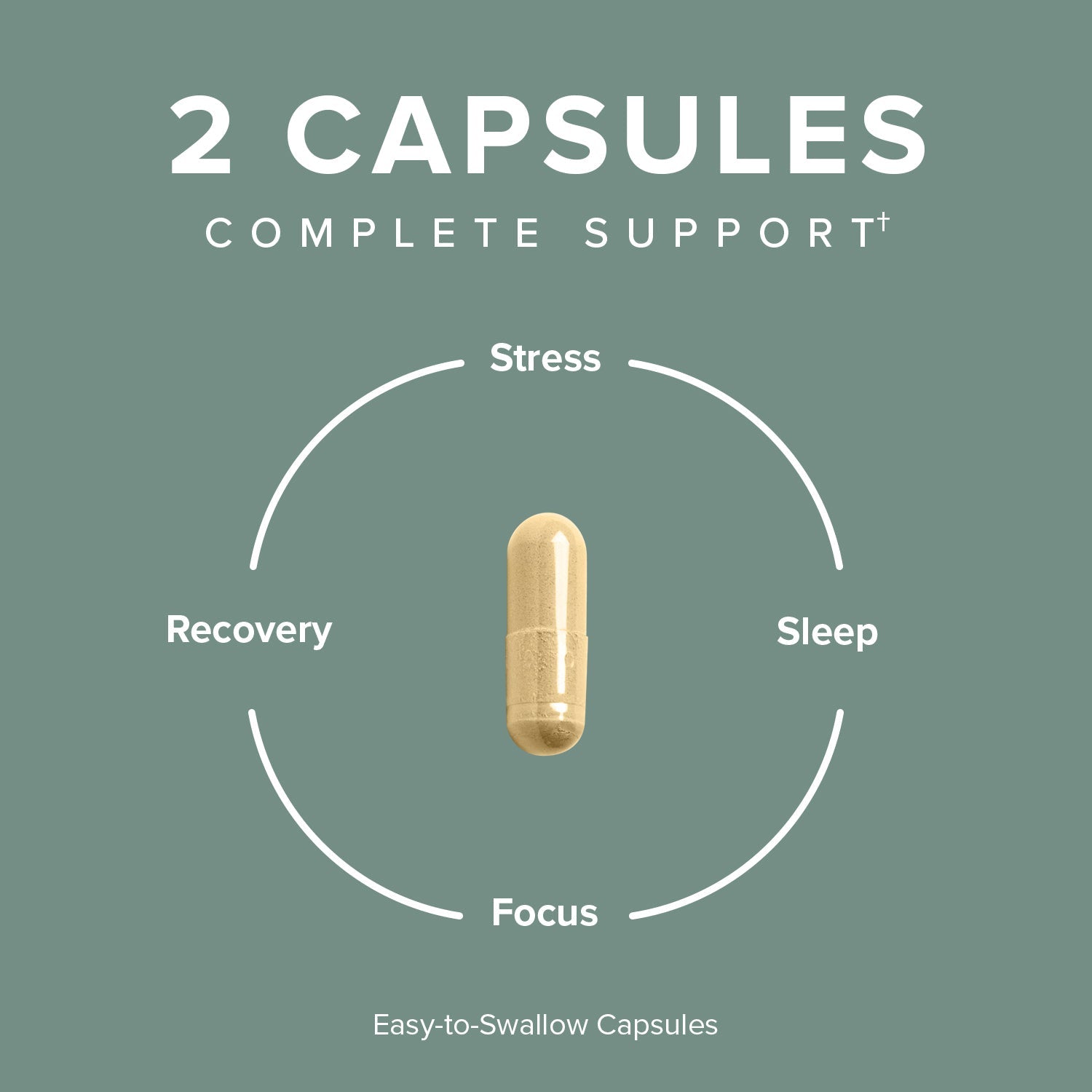 Supplement icon showing one beige capsule with stress, focus, recovery, sleep