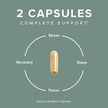 Supplement icon showing one beige capsule with stress, focus, recovery, sleep