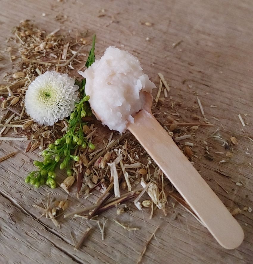 Magnesium Body Cream | Balance | Unscented - Renee Lane Company