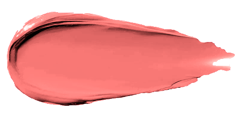 Matte Lip Stain - Renee Lane Company
