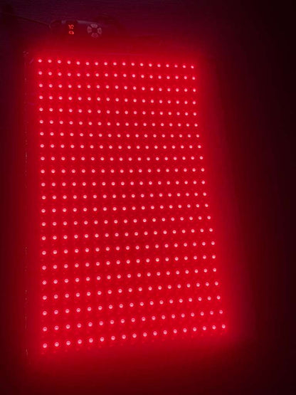 Medium Red Light Pad for Pain Relief & Recovery | 16" x 11" | 1188 LEDs + 12V Car Adapter - Renee Lane Company