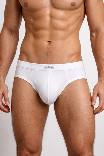 Men's Bamboo Viscose Briefs Underwear - Renee Lane Company