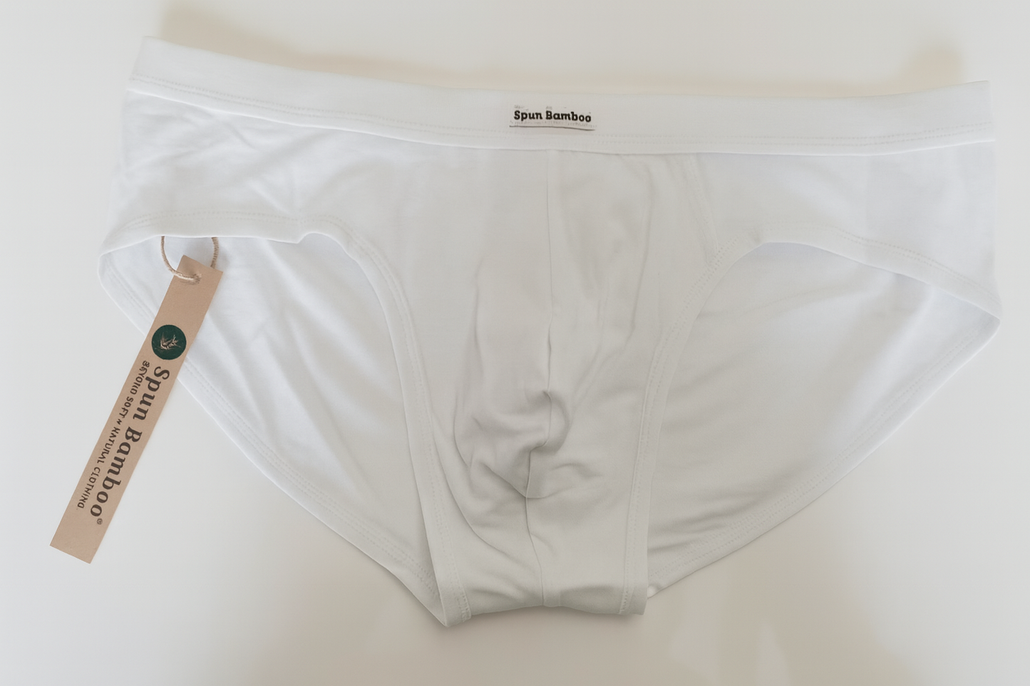 Men's Bamboo Viscose Briefs Underwear - Renee Lane Company