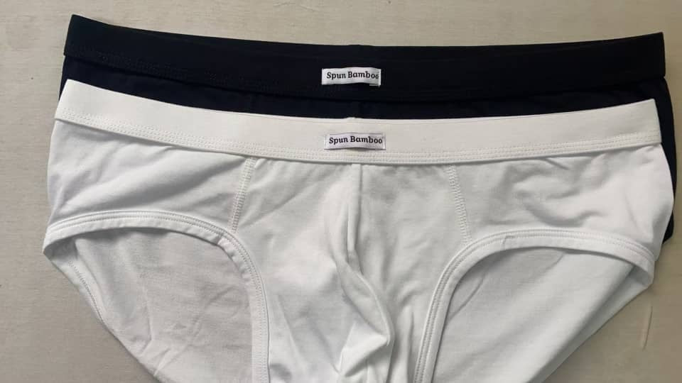 Men's Bamboo Viscose Briefs Underwear - Renee Lane Company