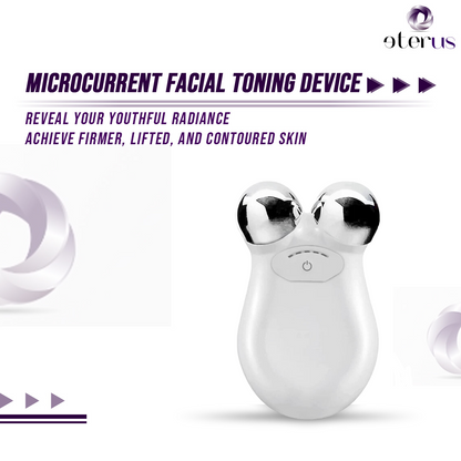 Microcurrent Facial Toning Massager - Renee Lane Company