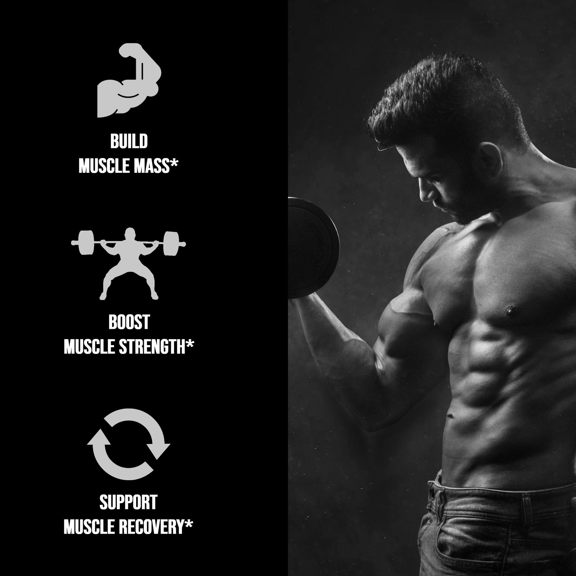 Micronized Creatine Monohydrate 400 G - Renee Lane Company